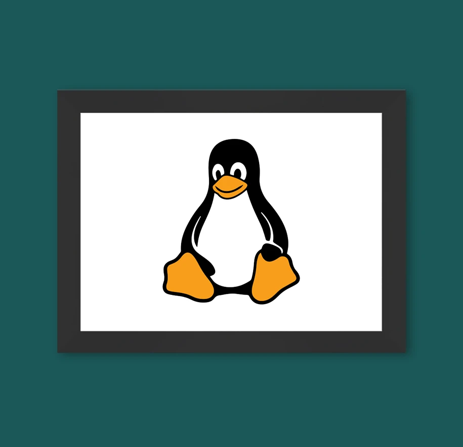 linux-single-frame-black-horizontal