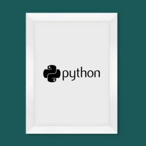 Python Wall Art